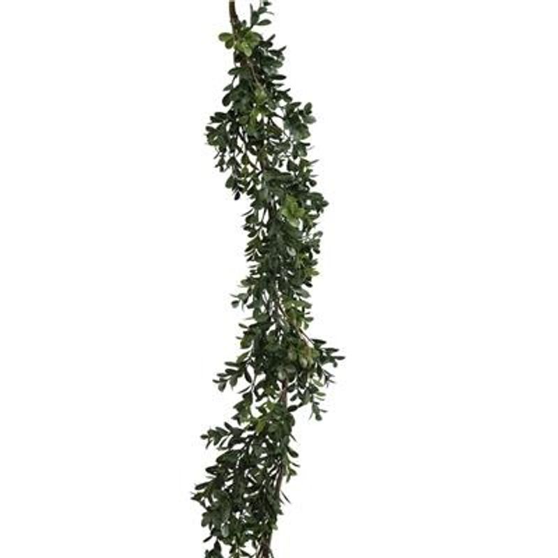  Ranke/Buxbom L140