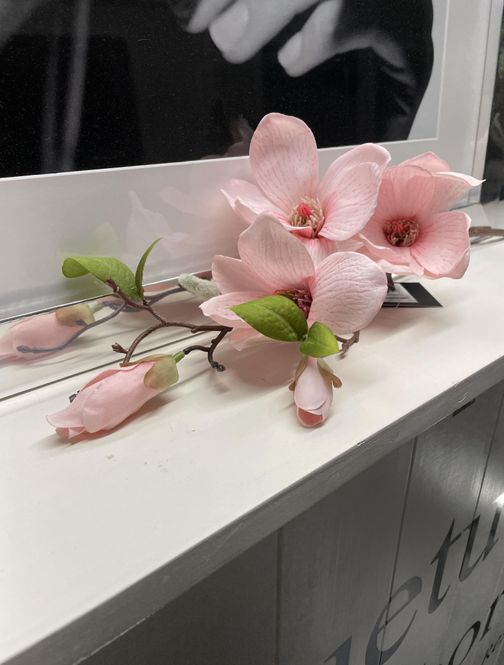 Hovedbilde Magnolia pink